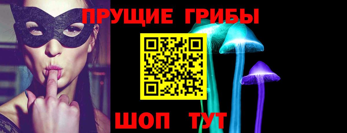 Ипатово  Псилоцибиновые грибы MAGIC MUSHROOMS  Вход с VPN  Галлюциногенные грибы Psilocybine cubensis 